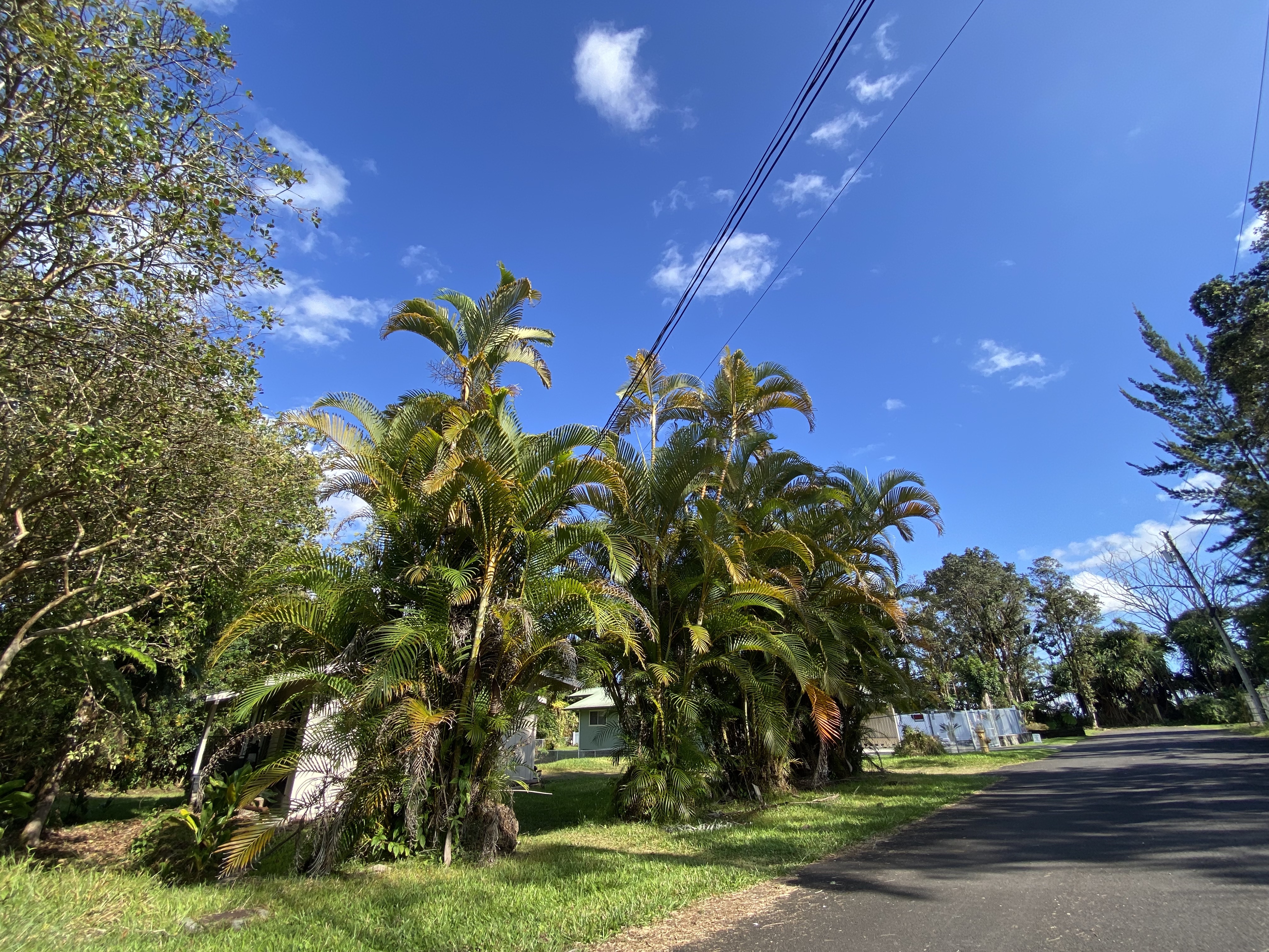 18-7848 Ekika Road Mountain View, HI 96771 - Photo 26 of 28