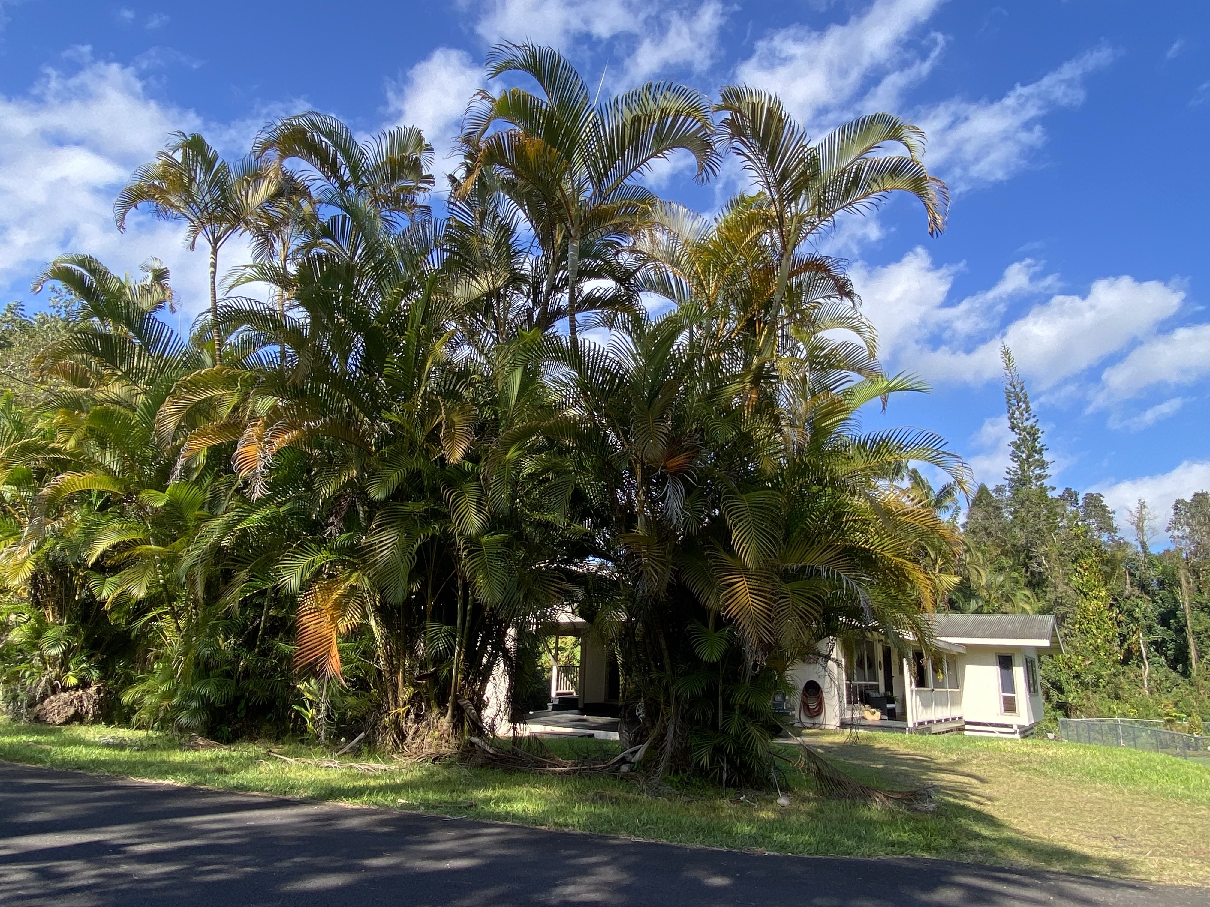 18-7848 Ekika Road Mountain View, HI 96771 - Photo 27 of 28
