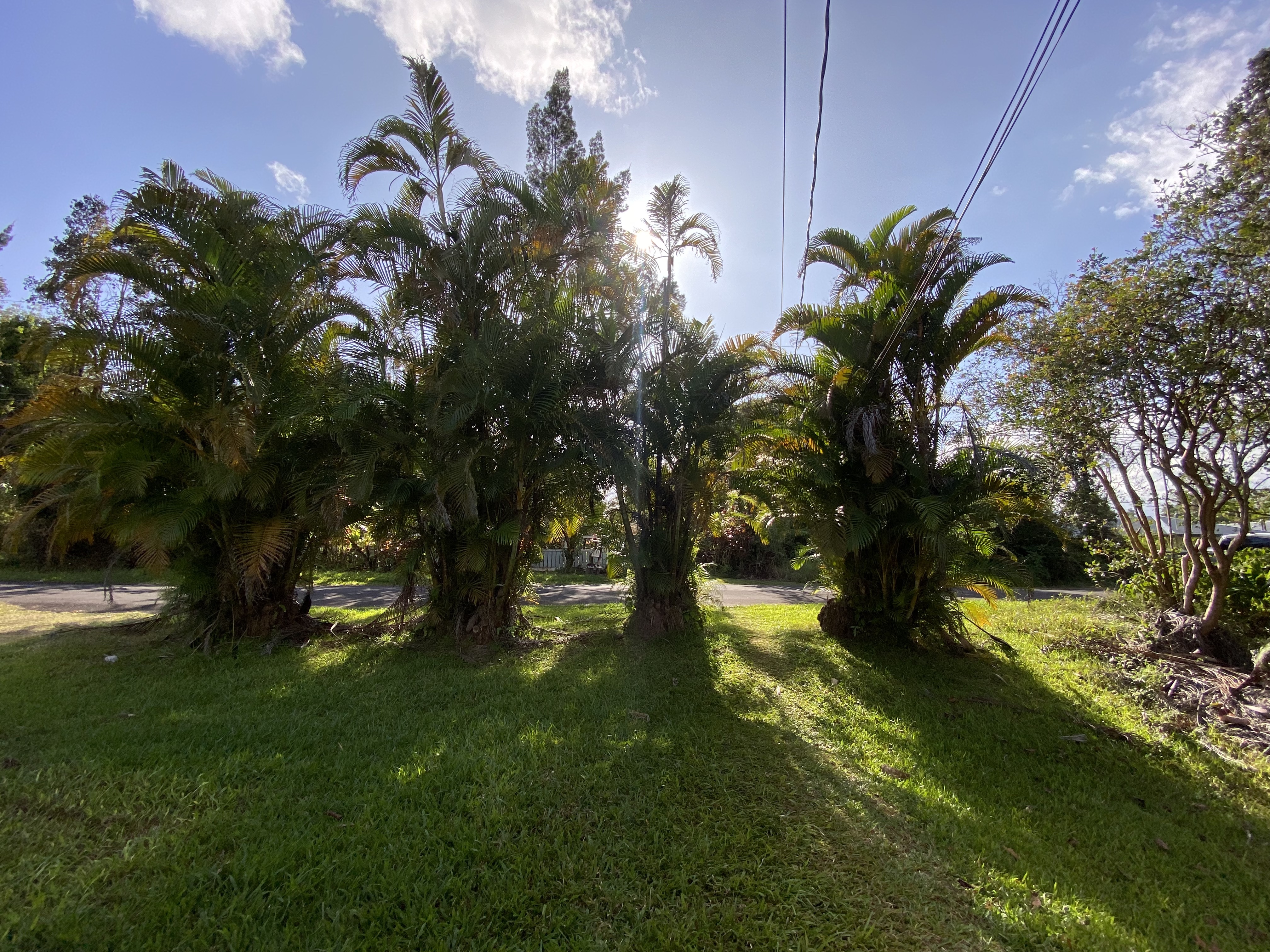 18-7848 Ekika Road Mountain View, HI 96771 - Photo 28 of 28