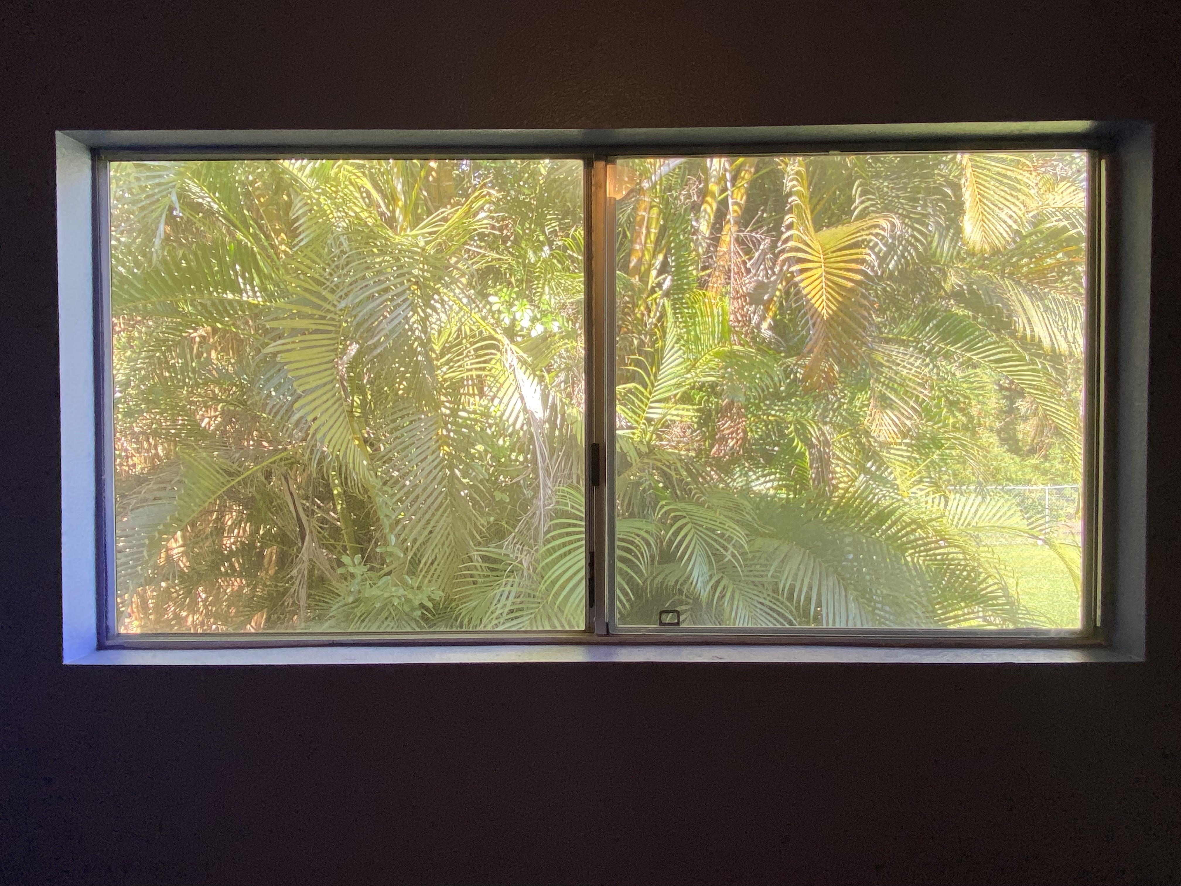 18-7848 Ekika Road Mountain View, HI 96771 - Photo 10 of 28