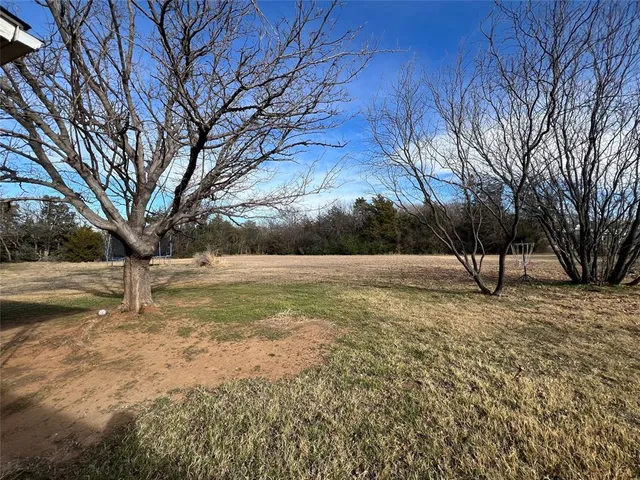 a view of yard with trees