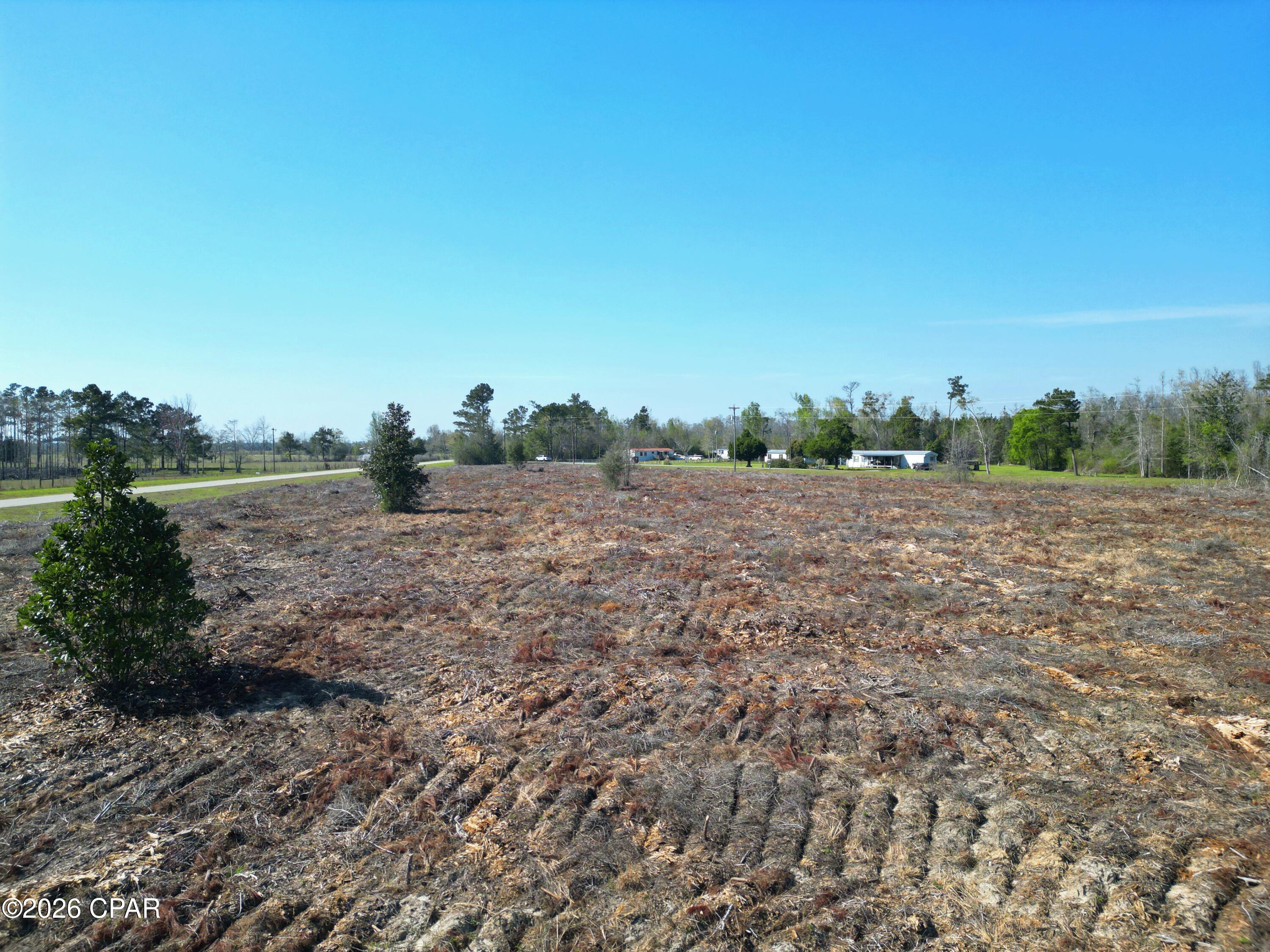 Tbd Carlos Peavy Road Blountstown, FL 32424 - Photo 5 of 8