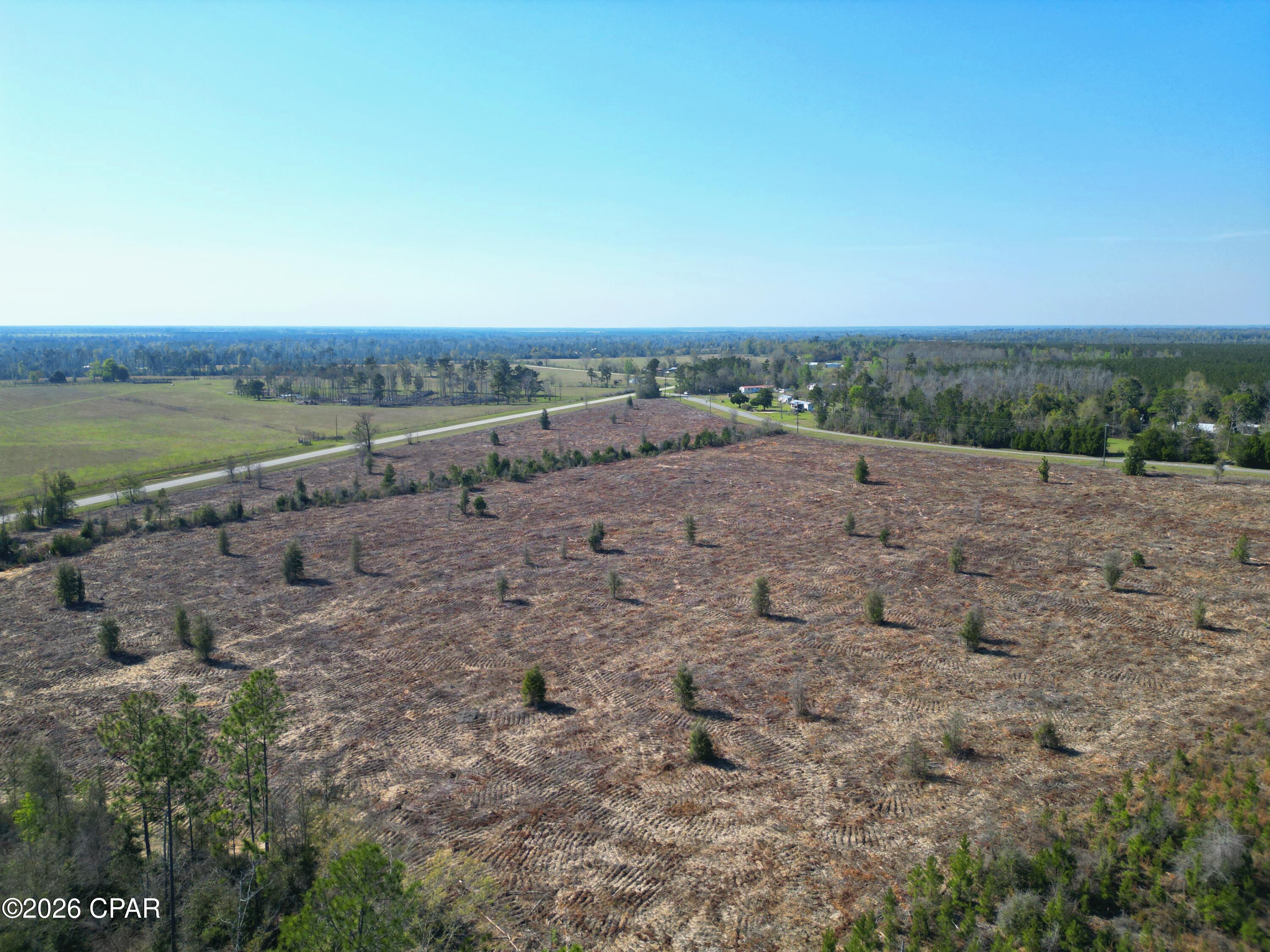 Tbd Carlos Peavy Road Blountstown, FL 32424 - Photo 8 of 8