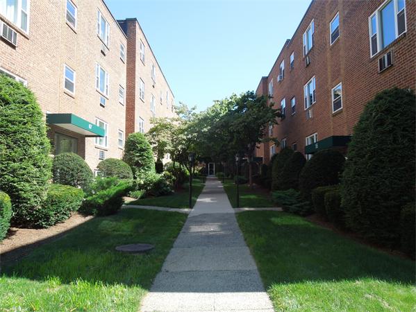 67 Colborne Road, Unit B1 Boston, MA 02135 - Photo 8 of 11 Gallery Image 8