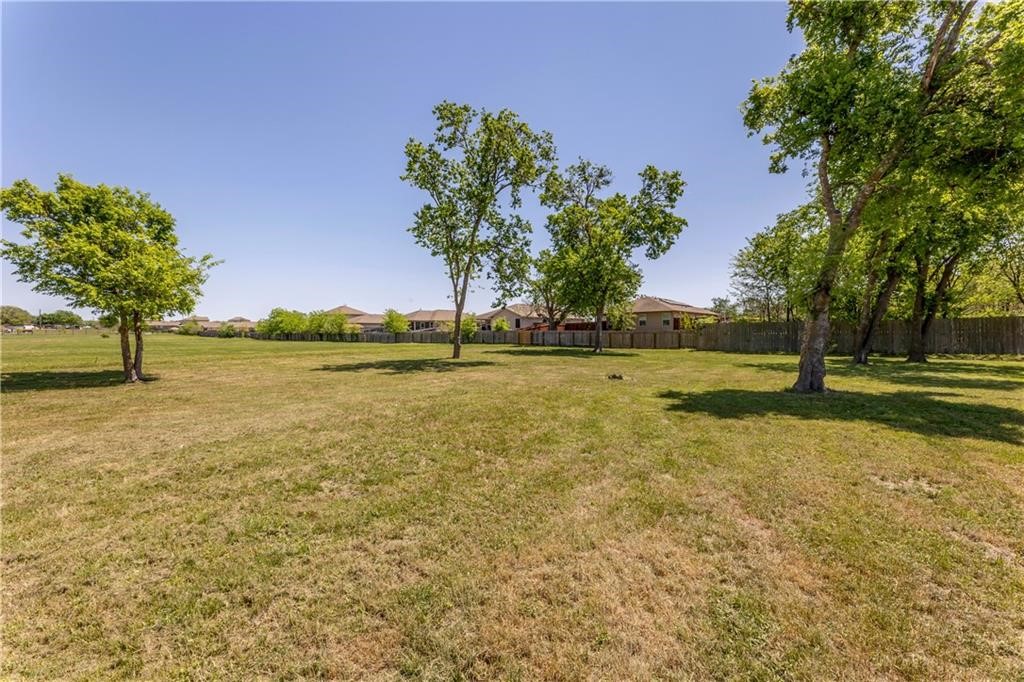 211 Tate Lane Round Rock, TX 78665 - Photo 28 of 40 a view of a yard with a tree