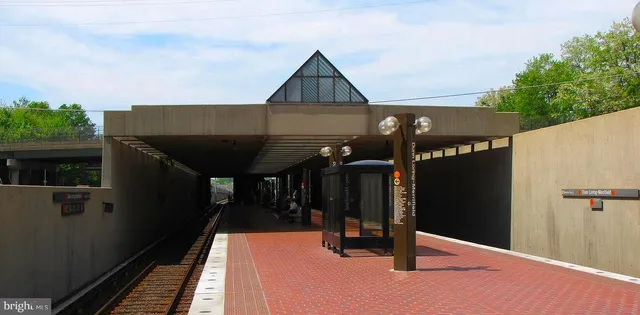 a view of a swimming pool with a yard