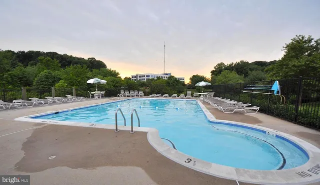 a park with large trees