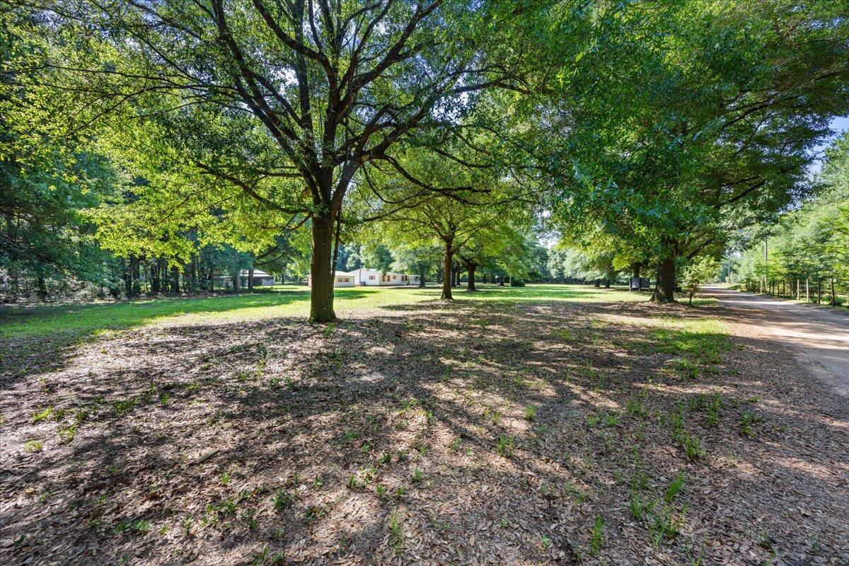 12400 Wildlife Road Holt, FL 32564 - Photo 15 of 62