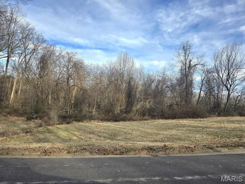 0 East Kenton Road Dexter, MO 63841 - Photo 2 of 5