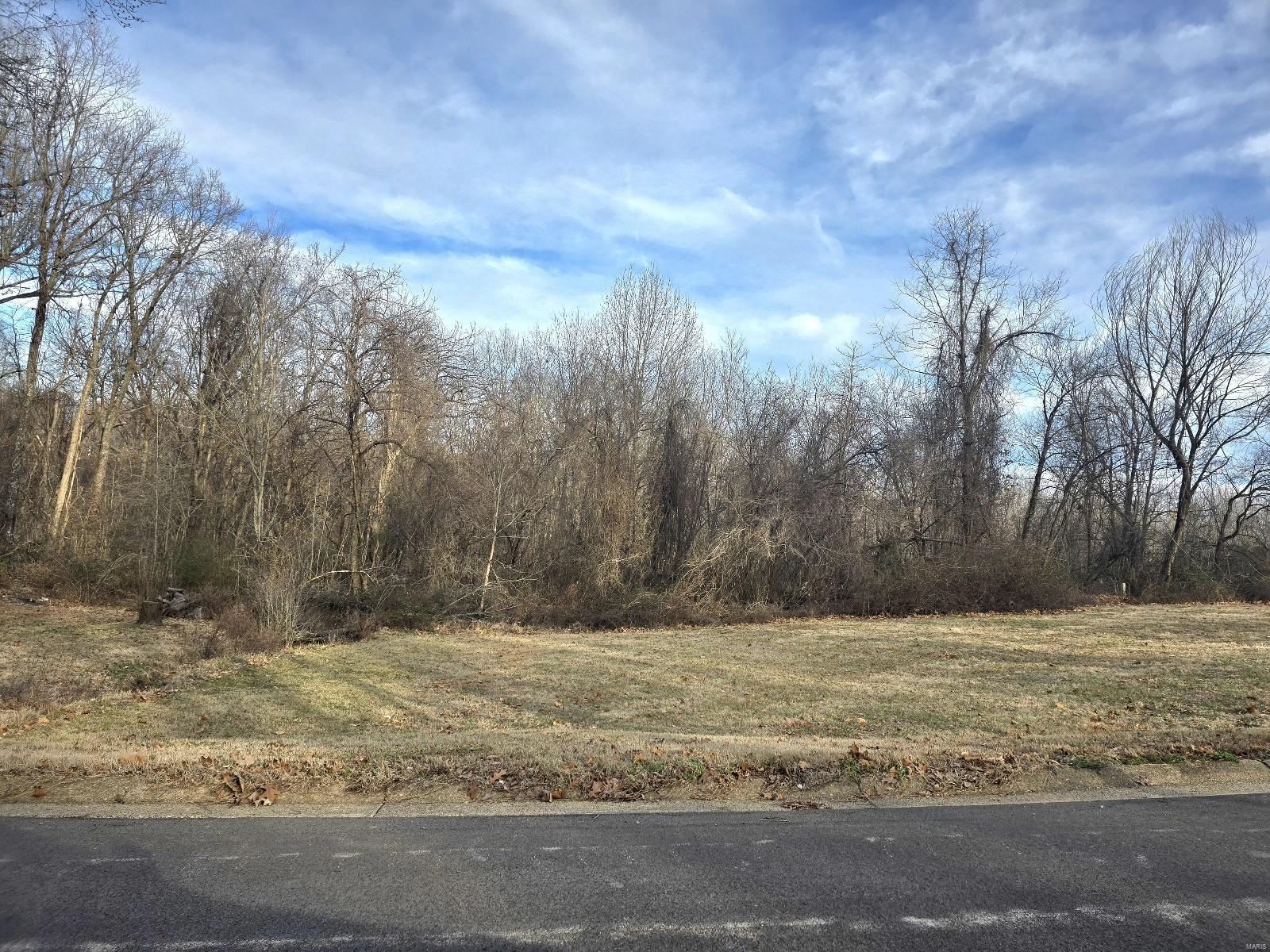 0 East Kenton Road Dexter, MO 63841 - Photo 2 of 5