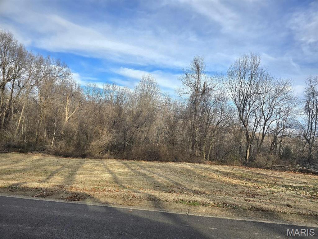 0 East Kenton Road Dexter, MO 63841 - Photo 3 of 5