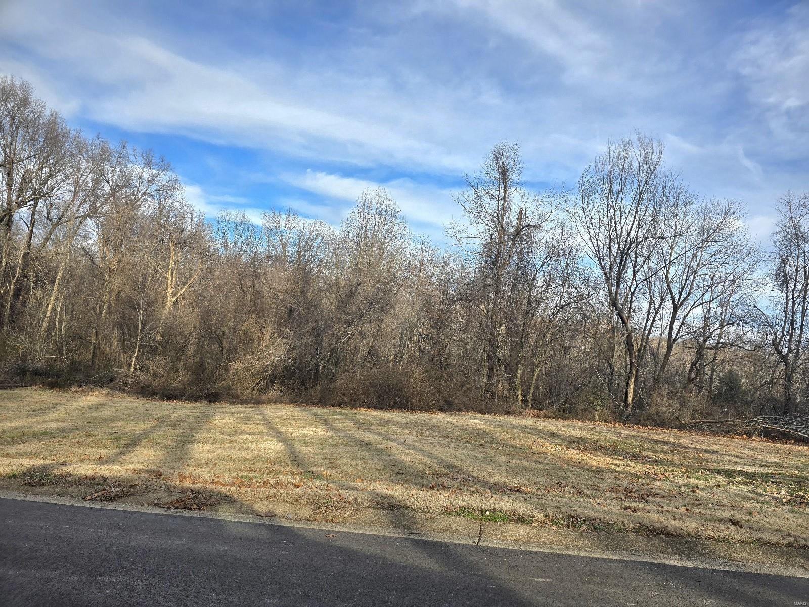 0 East Kenton Road Dexter, MO 63841 - Photo 3 of 5