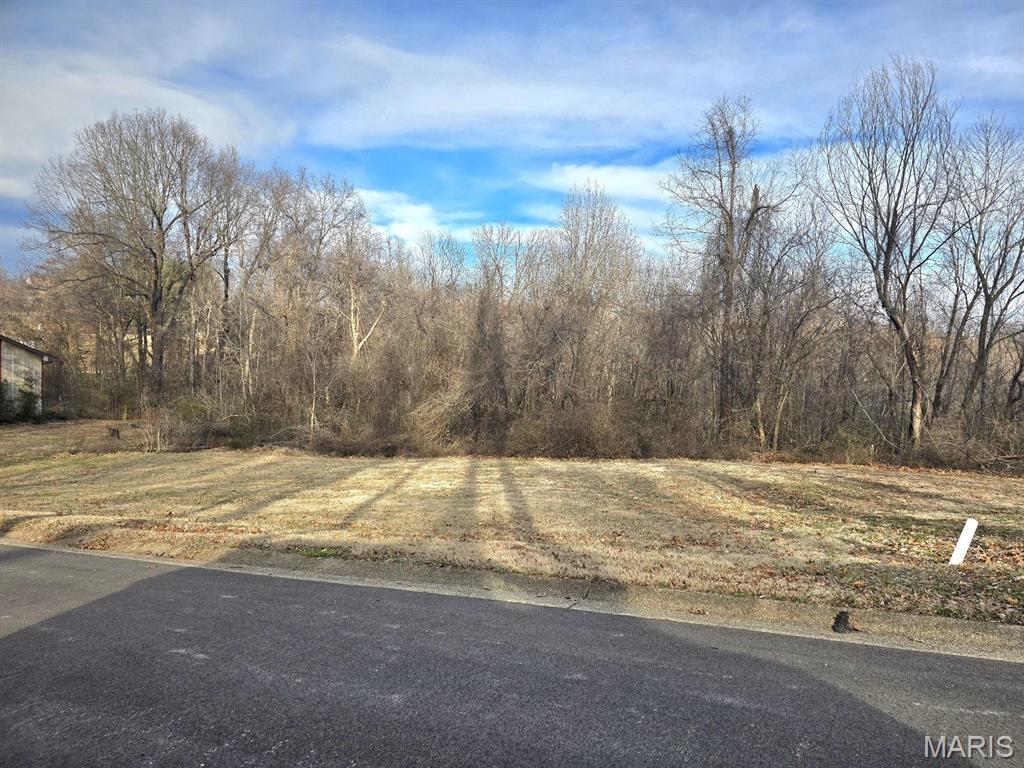 0 East Kenton Road Dexter, MO 63841 - Photo 4 of 5