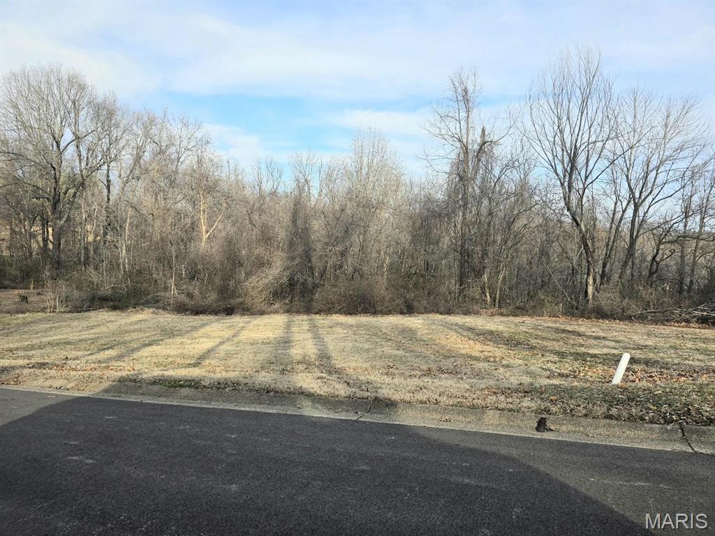 0 East Kenton Road Dexter, MO 63841 - Photo 5 of 5