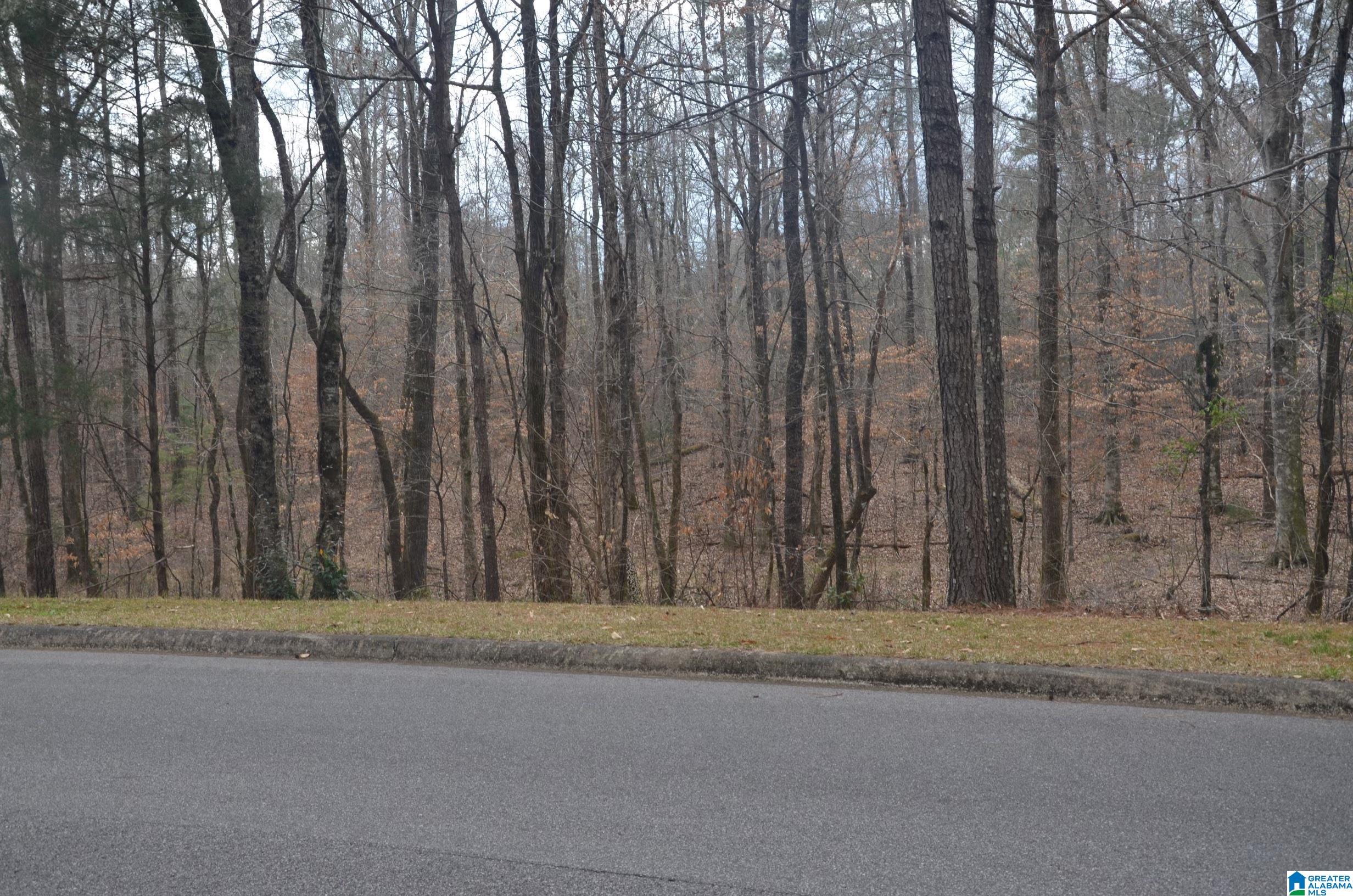 0 Settlers Ridge Alabaster, AL 35007 - Photo 2 of 19