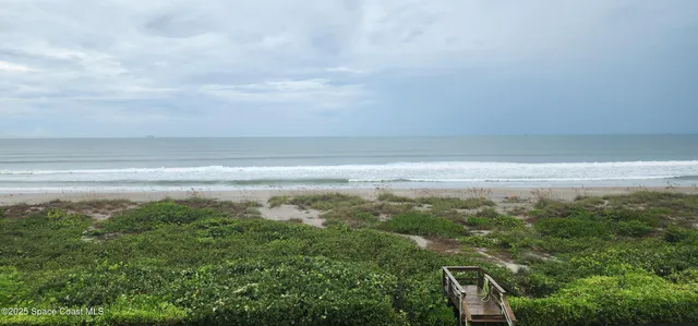 a view of an ocean from a yard