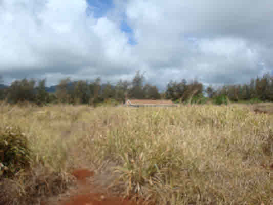 6020 Koolau Road, Unit 56 Kilauea, HI 96754 - Photo 5 of 9 a view of a lake view