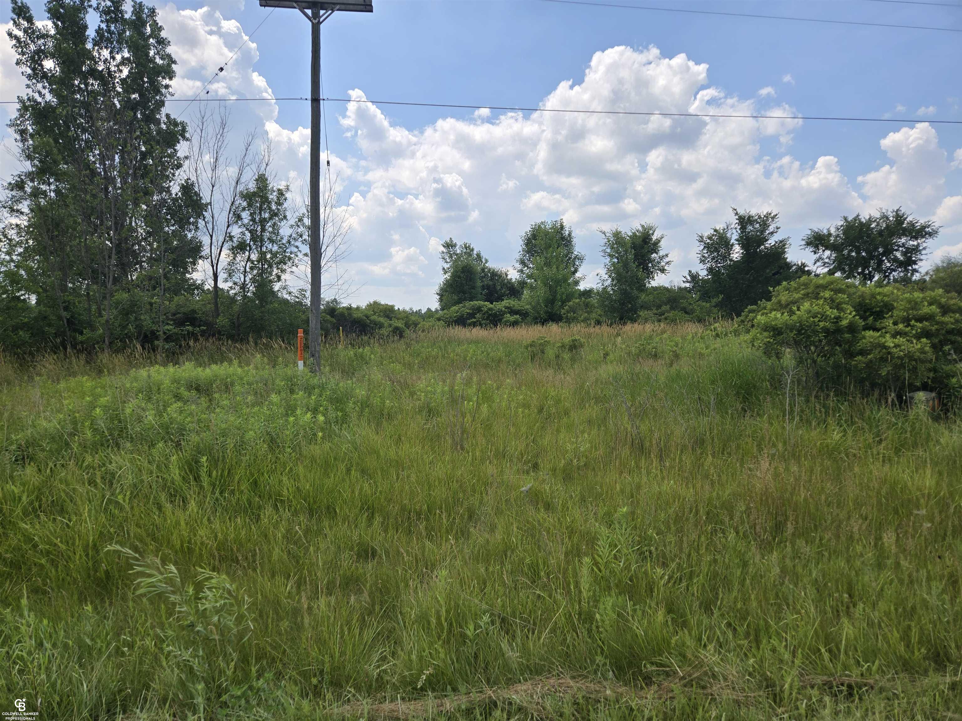 11547 Burt Road Memphis, MI 48041 - Photo 2 of 6