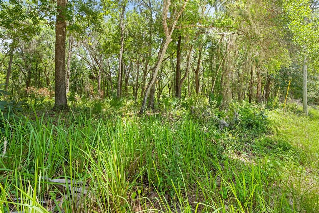 0 Ricebird Avenue, Unit LOT 89 Weeki Wachee, FL 34614 - Photo 22 of 27