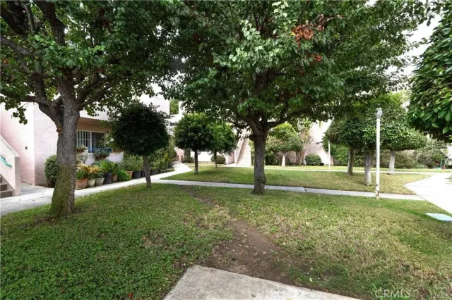 a view of a tree in a yard