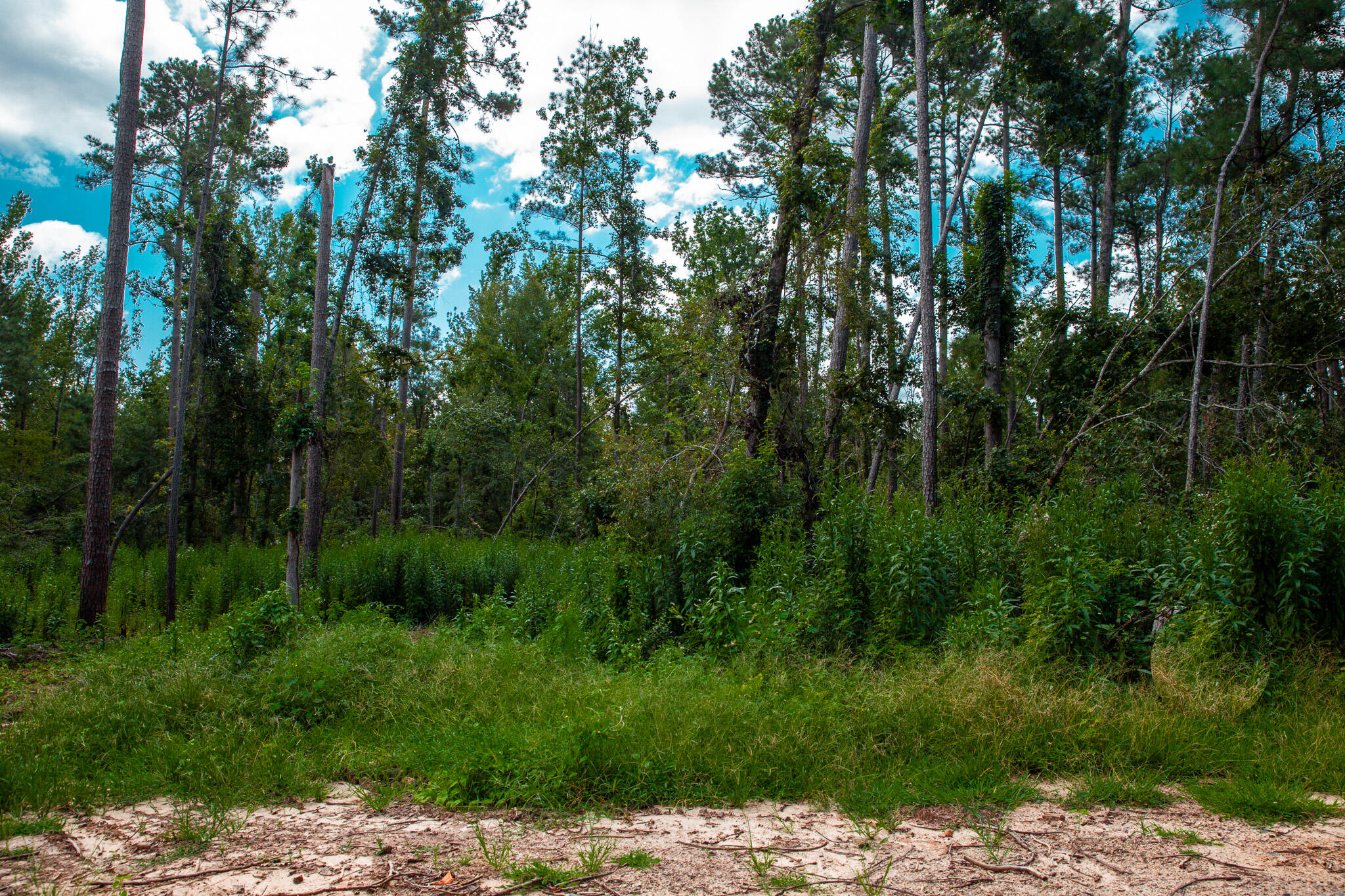 Lot 2 Furey Drive Clarks Hill, SC 29821 - Photo 1 of 6 Front