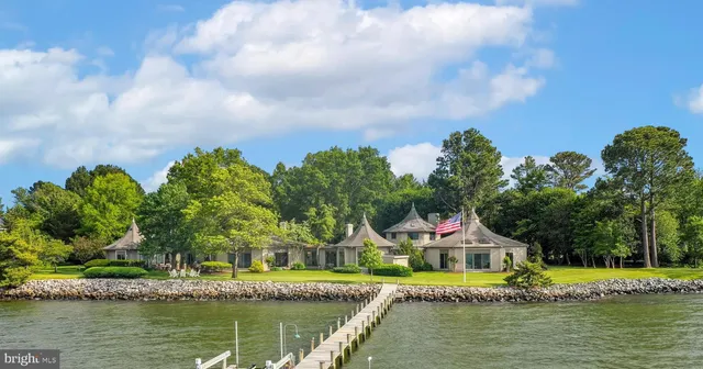 a view of a house with a yard potted plants and large tree