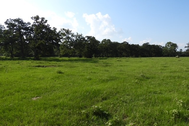 28322 Mellman Road Hempstead, TX 77445 - Photo 41 of 50