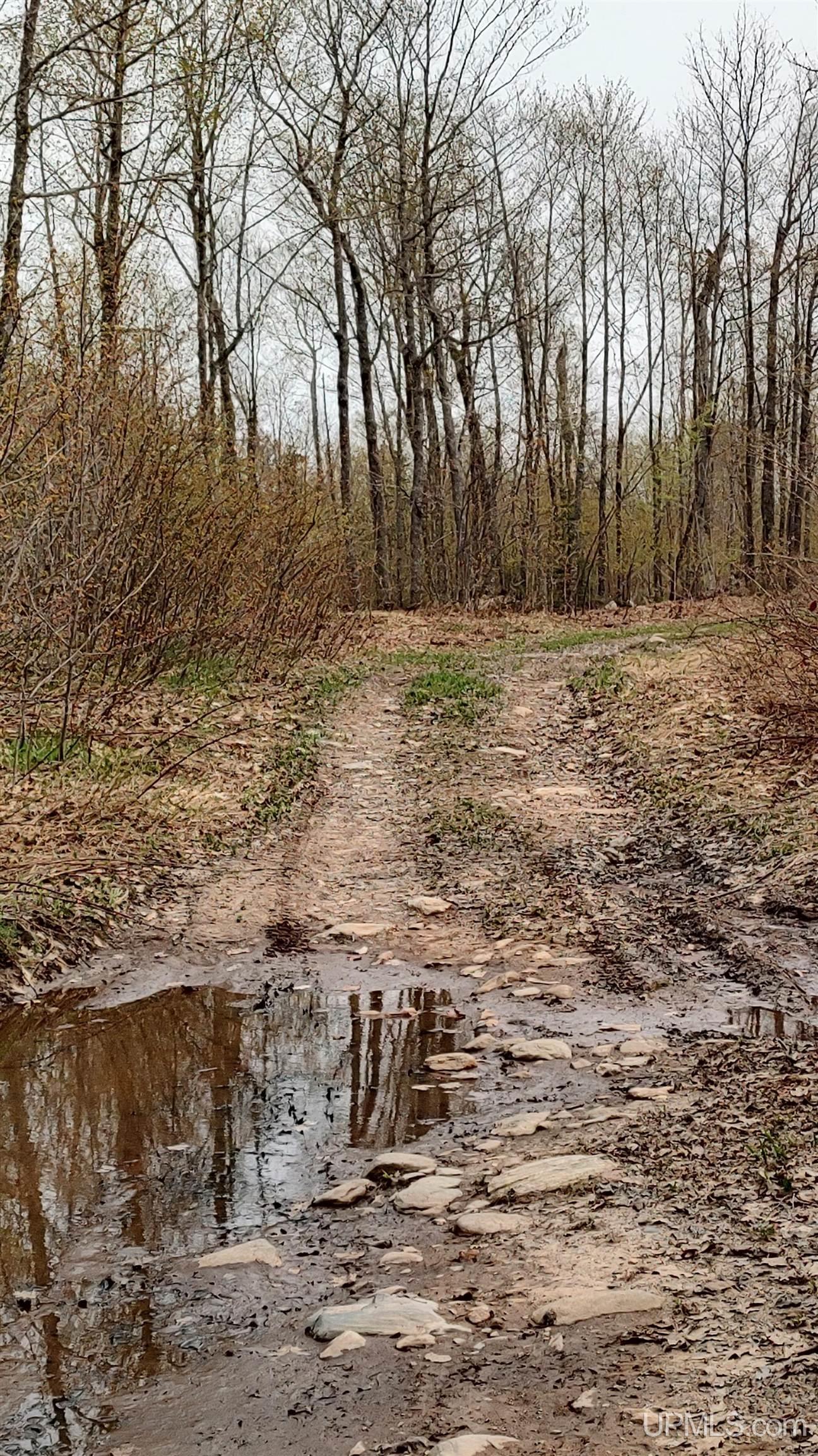 Tbd Tbd Durchman Lake Road Lanse, MI 49946 - Photo 51 of 56