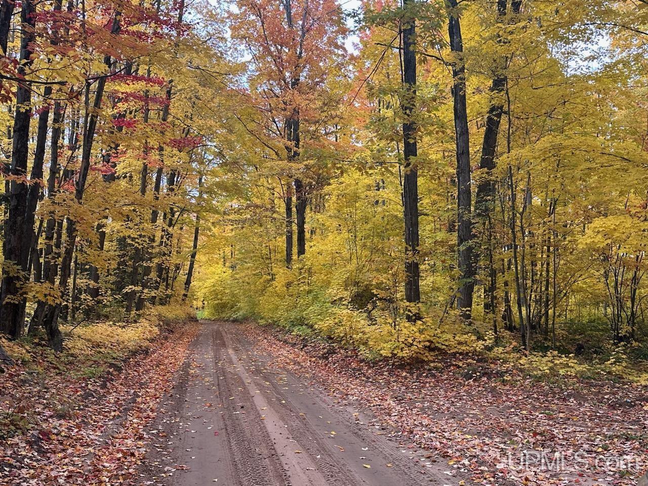 Tbd Tbd Garlic Mountain Road Negaunee, MI 49866 - Photo 50 of 61