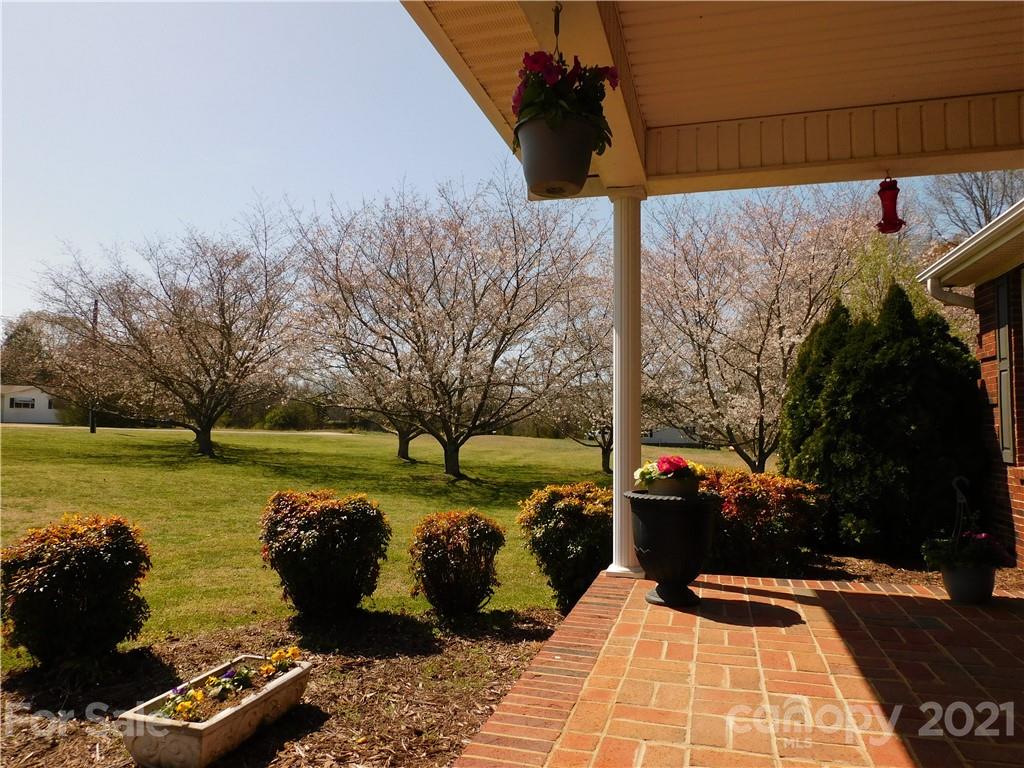 3800 Sherer Road Sharon, SC 29742 - Photo 2 of 42 a view of a street with a yard and a terrace
