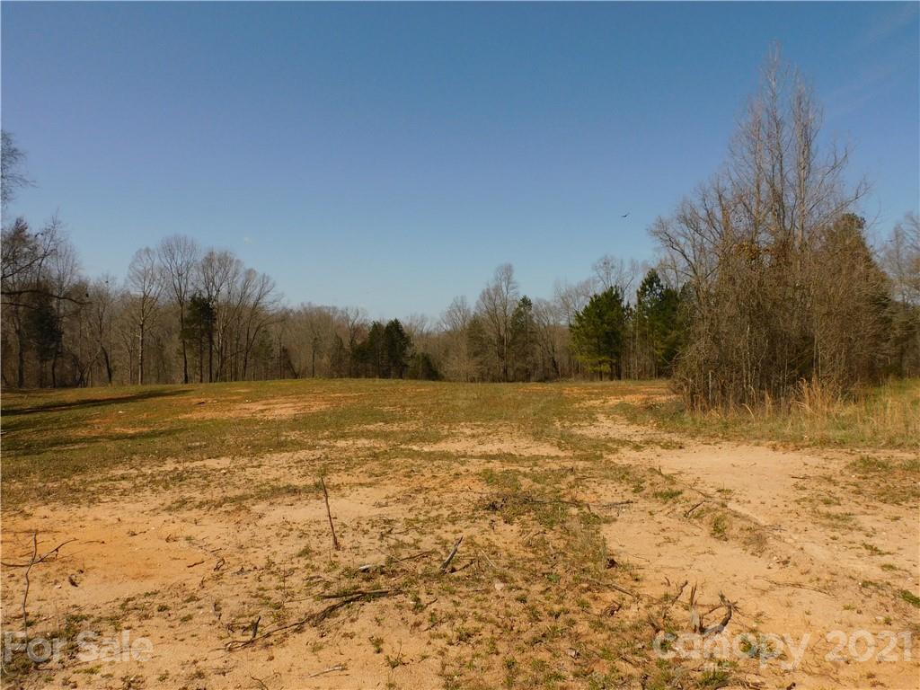 3800 Sherer Road Sharon, SC 29742 - Photo 39 of 42 a view of a yard with a house