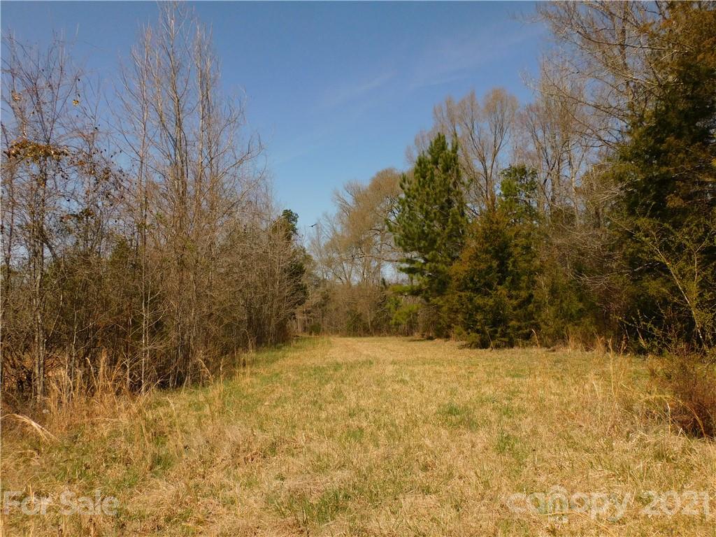 3800 Sherer Road Sharon, SC 29742 - Photo 41 of 42 a view of yard