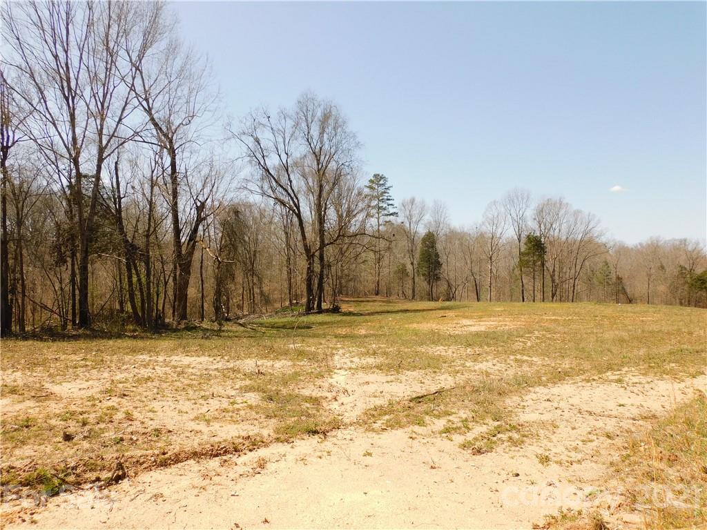3800 Sherer Road Sharon, SC 29742 - Photo 42 of 42 a view of a field with trees in the background