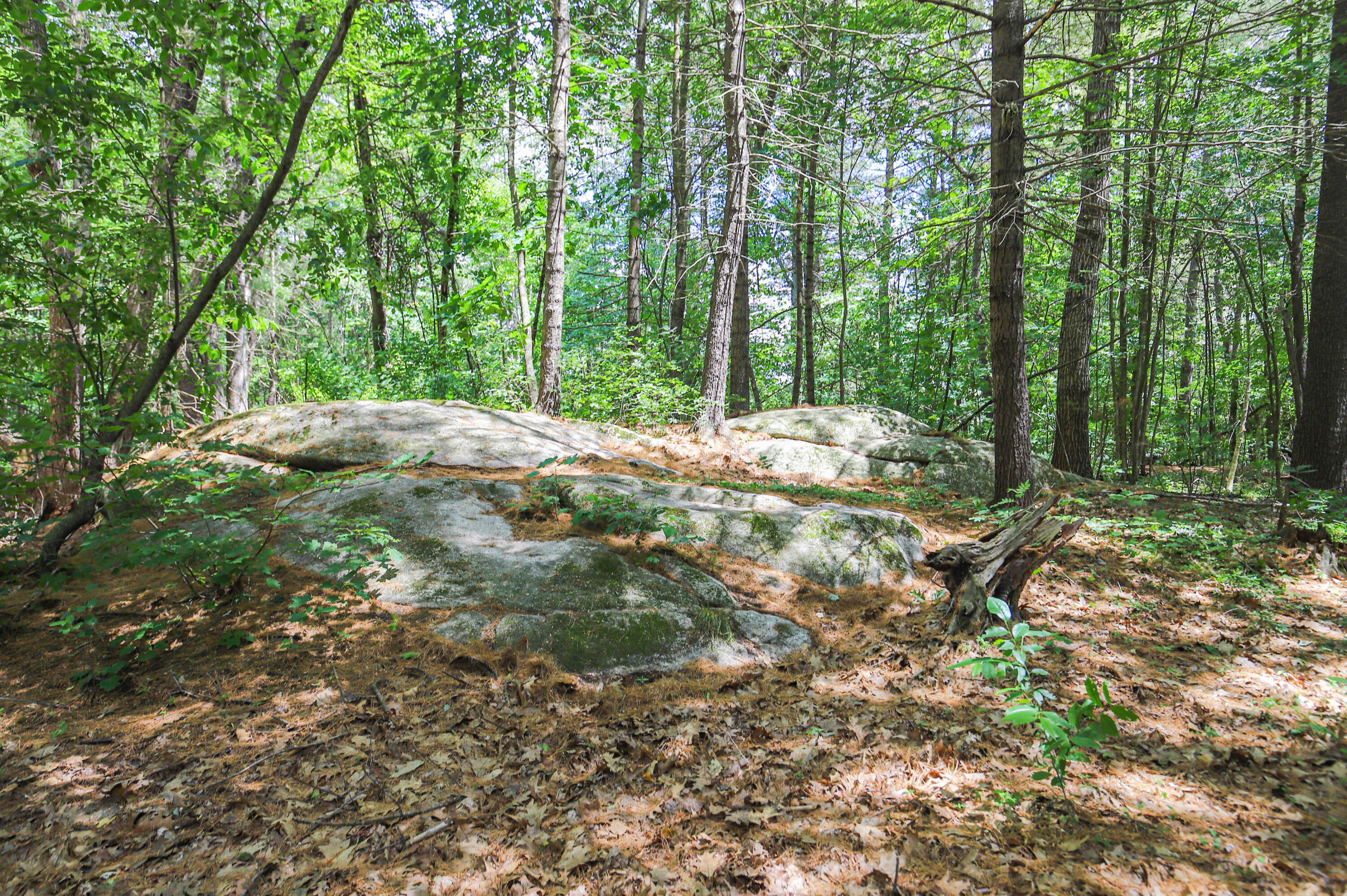 30 Shingle Way Portland, ME 04103 - Photo 41 of 47 30 Shingle Way Portland -57