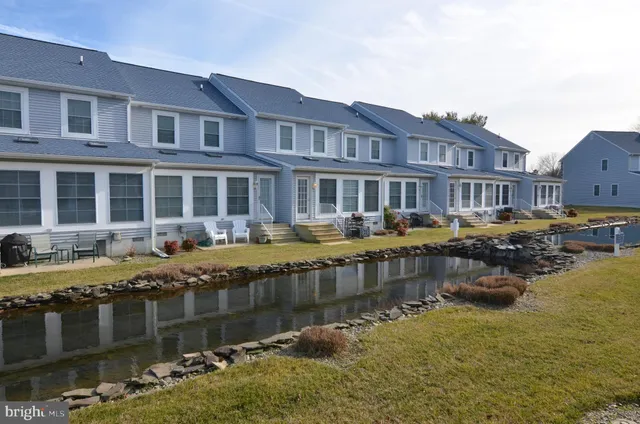 a large body of water next to a building with large trees and boats