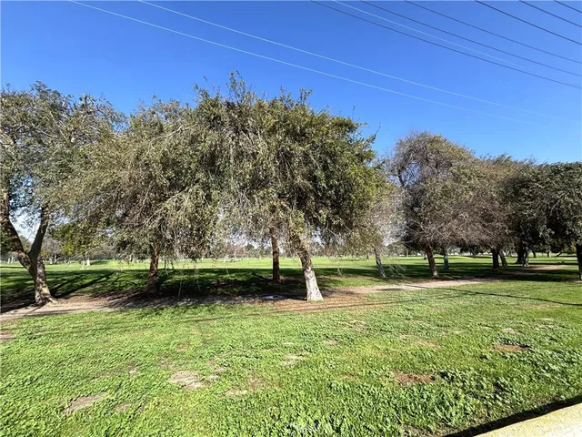a view of a park with large trees