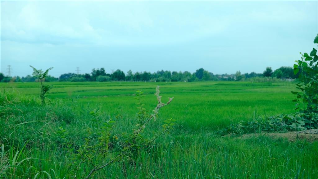 202 Highway 90 Iowa, LA 70647 - Photo 1 of 4