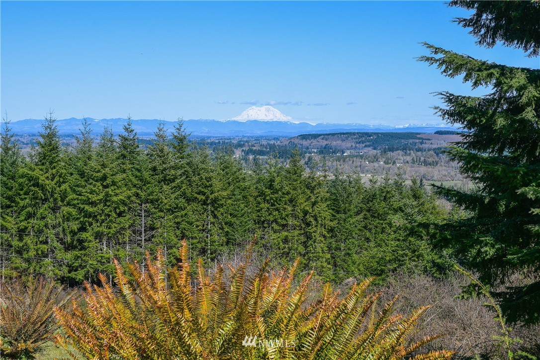 417 Agren Road Castle Rock, WA 98611 - Photo 4 of 40 Gallery Image 4