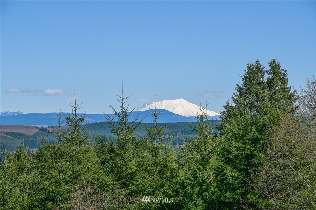 417 Agren Road Castle Rock, WA 98611 - Photo 35 of 40 Gallery Image 35