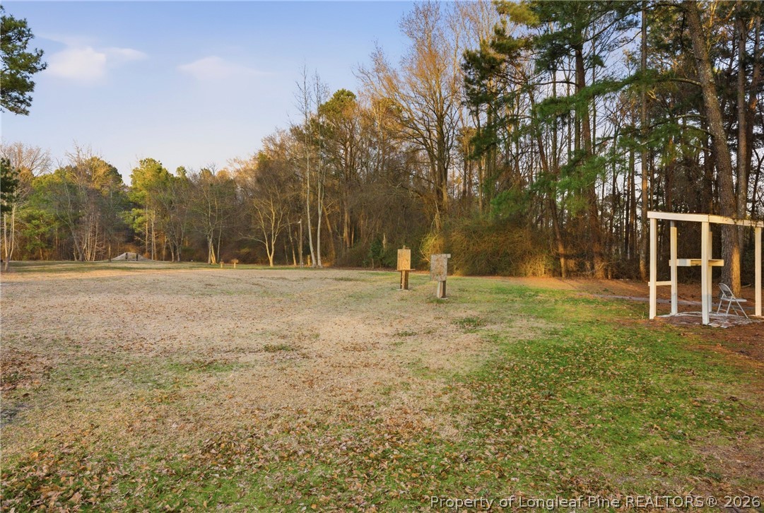 732 County Line Road Roseboro, NC 28382 - Photo 26 of 30 a view of outdoor space with garden