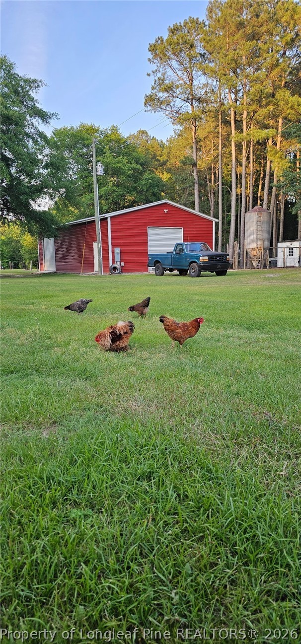 732 County Line Road Roseboro, NC 28382 - Photo 28 of 30 a view of yard with green space