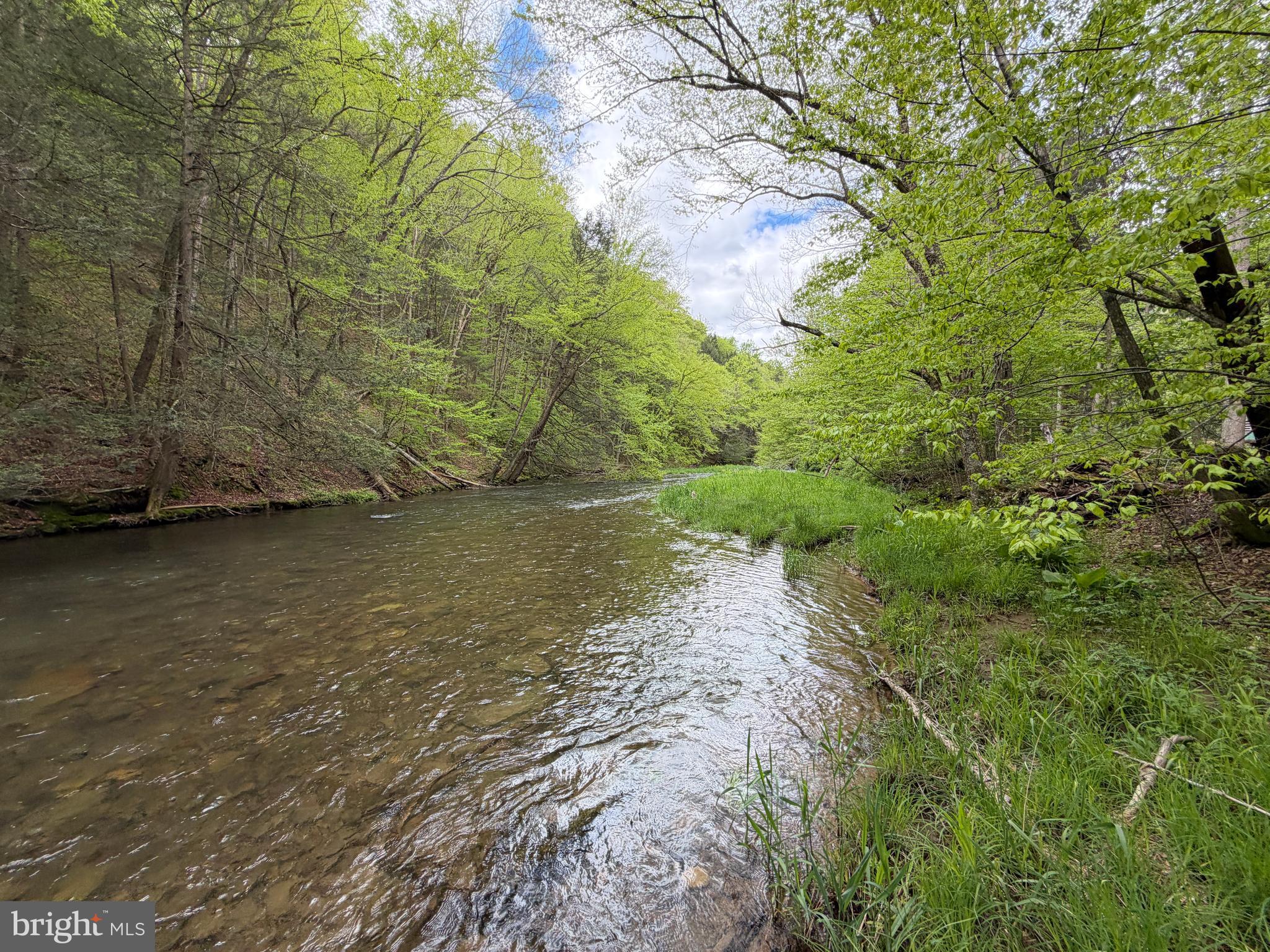 1227 Cross Fork Creek Road Cross Fork, PA 17729 - Photo 71 of 139