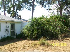 1106 Pinedale Road Rockledge, FL 32955 - Photo 3 of 4 Additional Photo