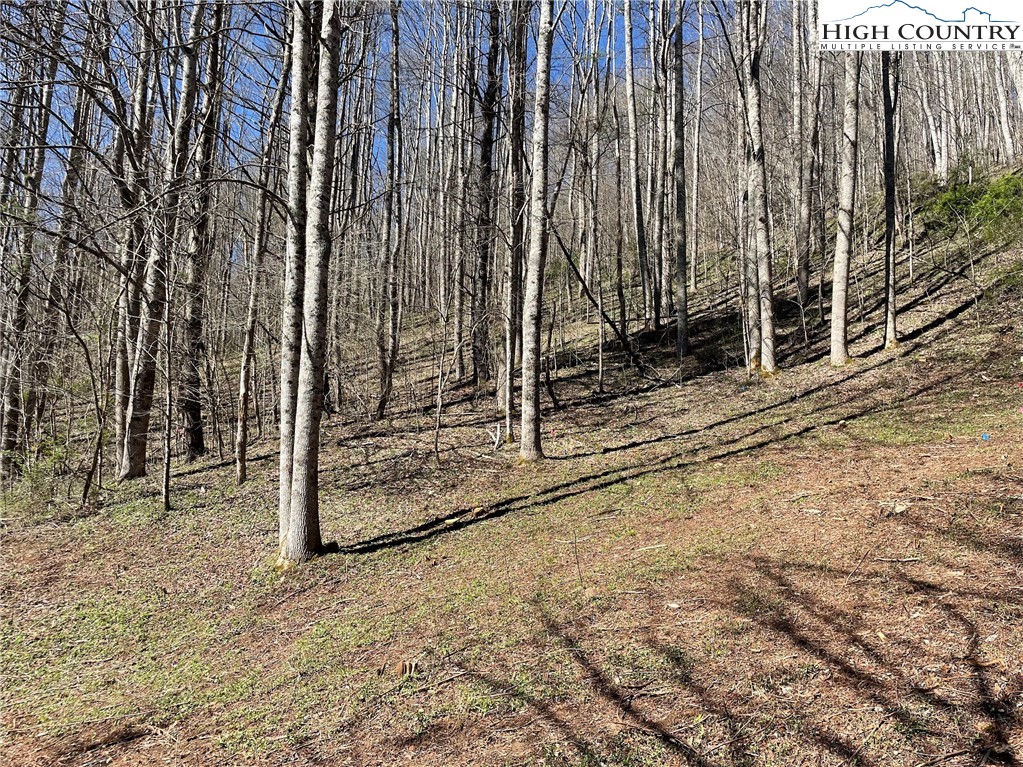 6 Stonegate Lane Creston, NC 28615 - Photo 14 of 22 a view of a backyard with wooden fence