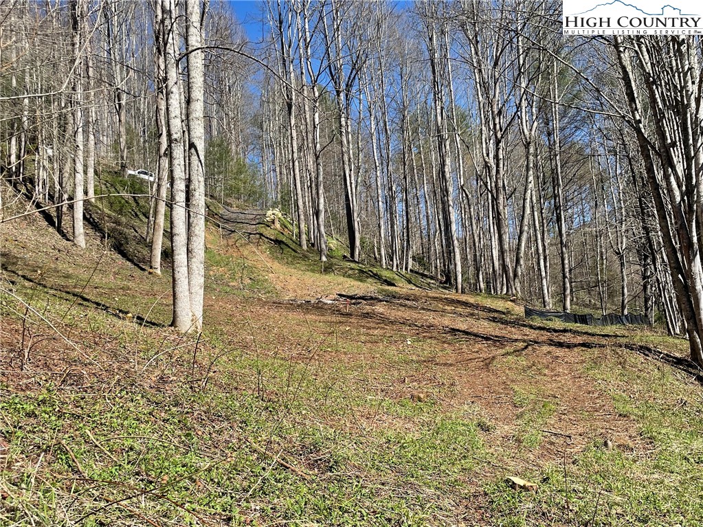 6 Stonegate Lane Creston, NC 28615 - Photo 16 of 22 a view of a backyard of the house