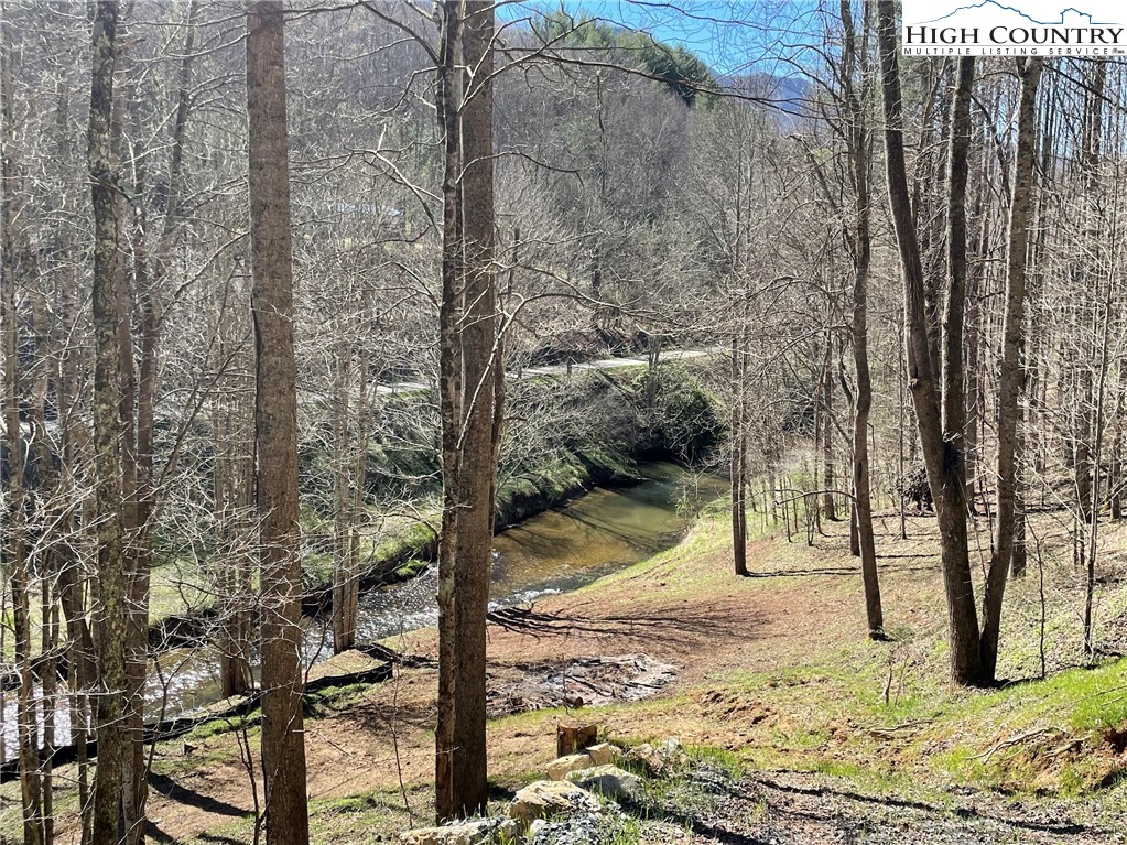 6 Stonegate Lane Creston, NC 28615 - Photo 2 of 22 a view of a backyard of the house