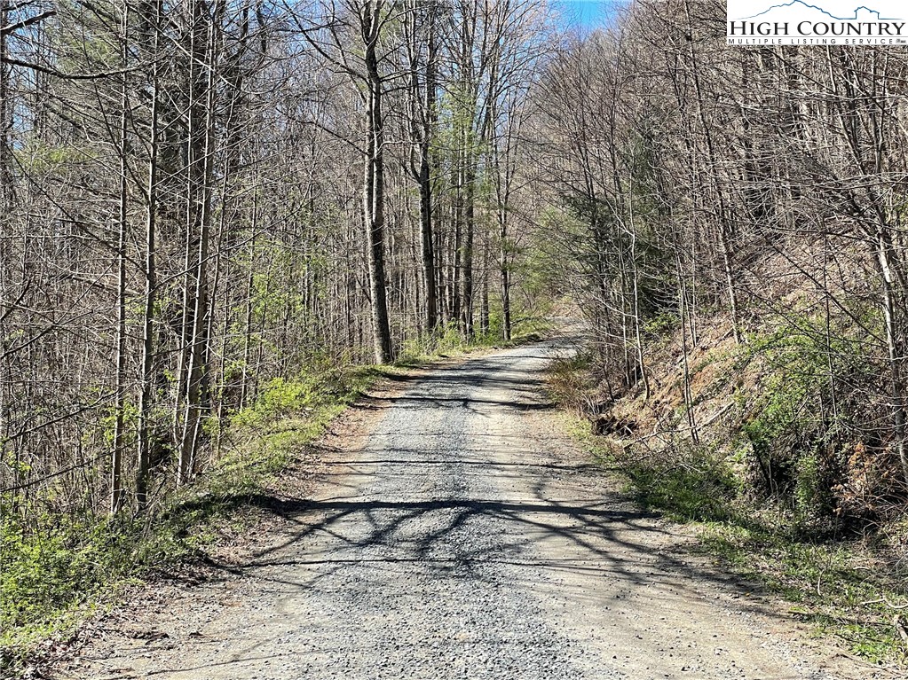 6 Stonegate Lane Creston, NC 28615 - Photo 21 of 22 a view of a yard with plants and trees