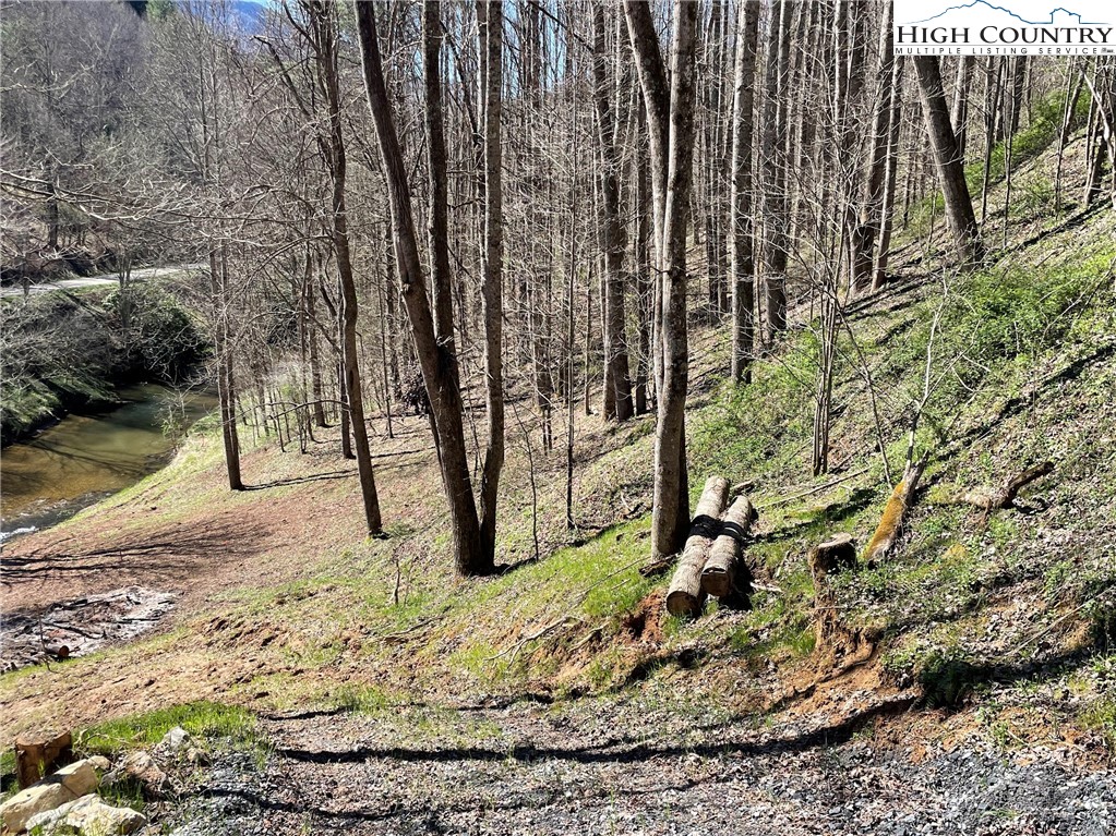 6 Stonegate Lane Creston, NC 28615 - Photo 5 of 22 a view of a backyard of the house