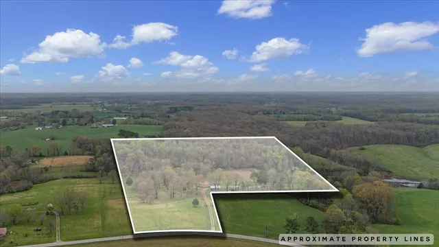 a backyard of a house with a garden and barbeque oven
