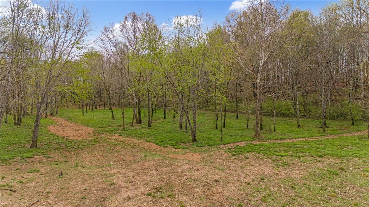 48 Mt Lebanon Road Lawrenceburg, TN 38464 - Photo 60 of 85